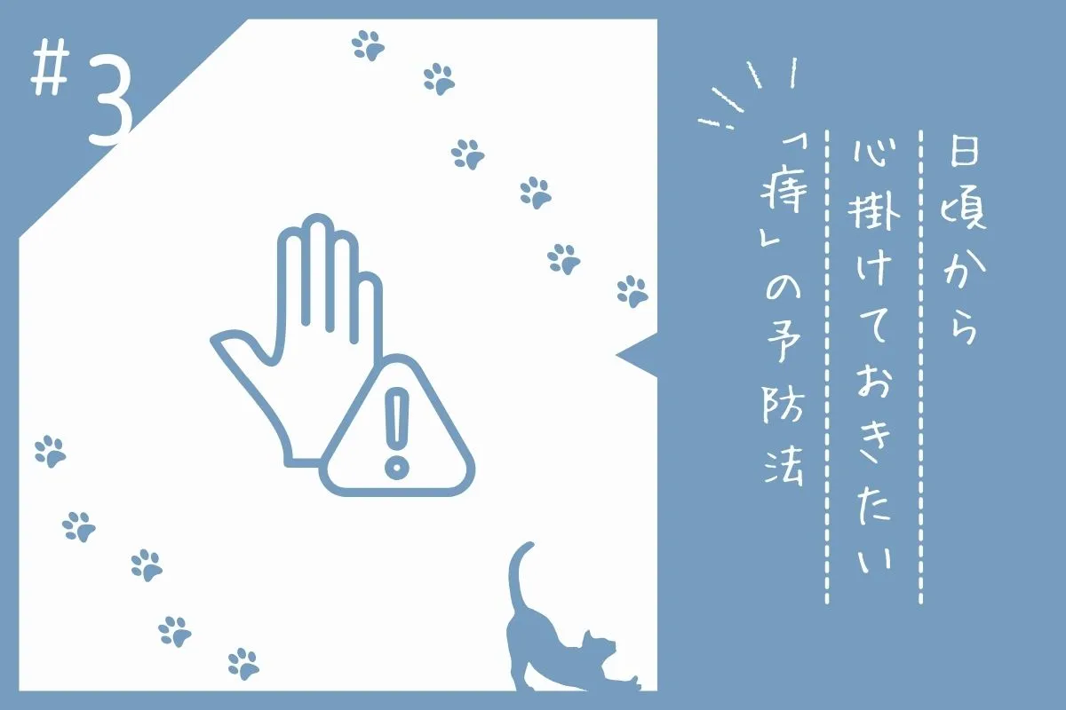 痔の予防法を解説する画像素材